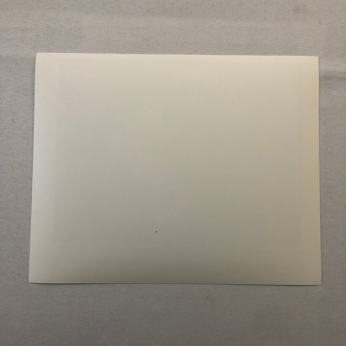 The Secret of Nimh Movie Film Press Photo Photograph Hermione Baddeley 1982