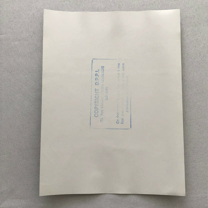 Vintage 1975 Formula 2 F2 Racing Photo Photograph Nogaro Patrick Tambay Driver