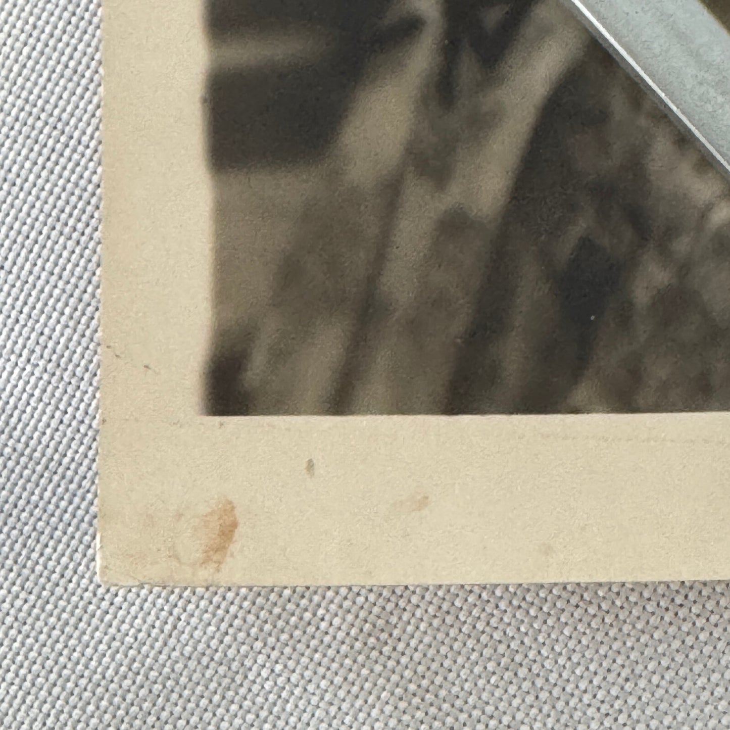 Vintage Movie Press Photo Photograph Viennese Nights Warner Brothers Vitaphone