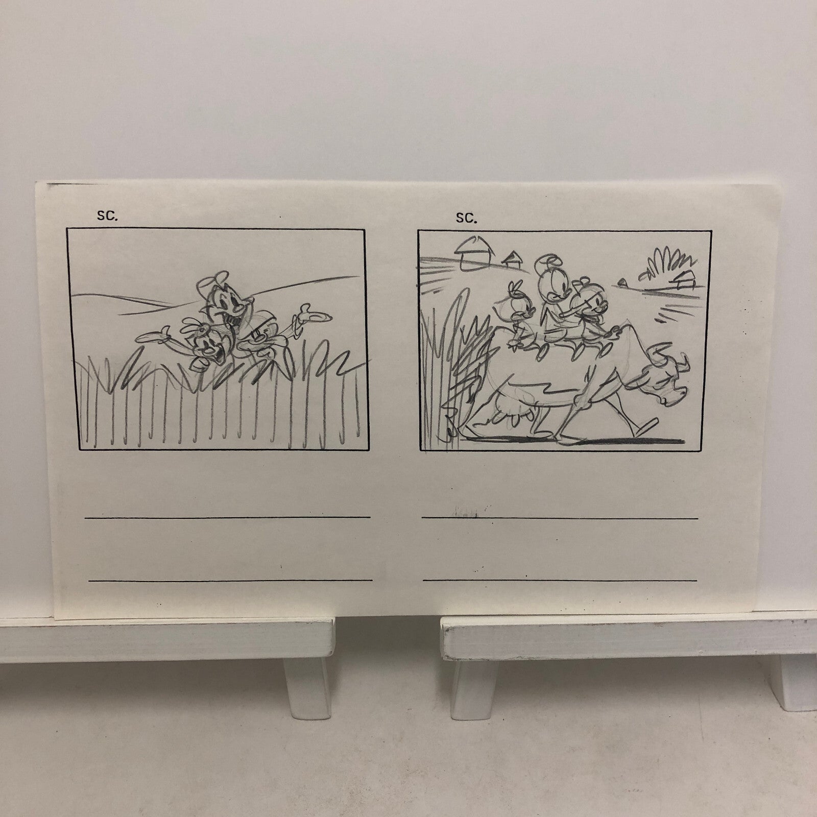 ANIMANIACS Animation Storyboard Illustration Drawing Sketch Art Story Board