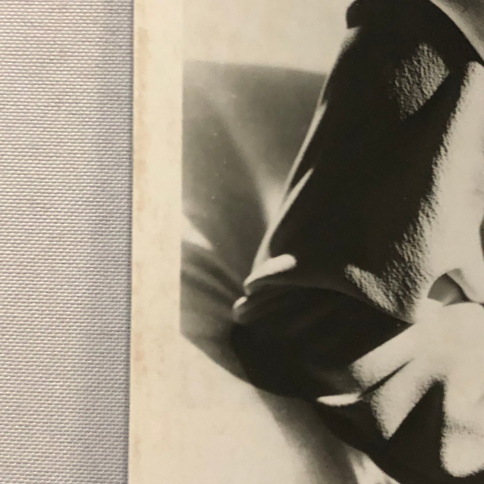 Lana Turner Hollywood Movie Star Actress Photo Photograph