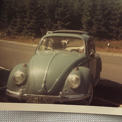 Vintage Photo Photograph Snapshot VW Volkswagen Beetle Bug Car