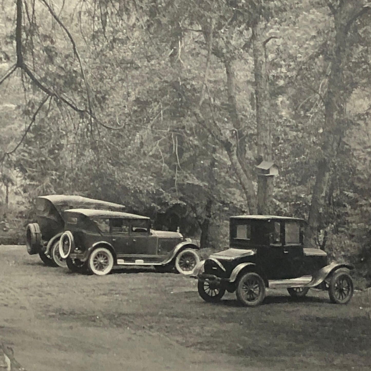 Vintage Photo Photograph Print Family Cars Automobile 1926 Ford Model T Packard 