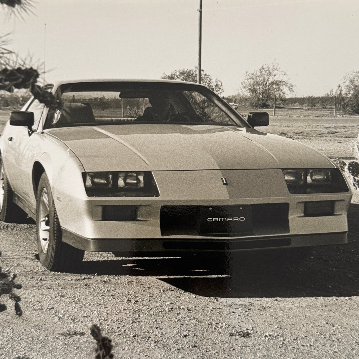 Chevrolet Camaro Factory Press Publicity Photo Photograph Print Chevy