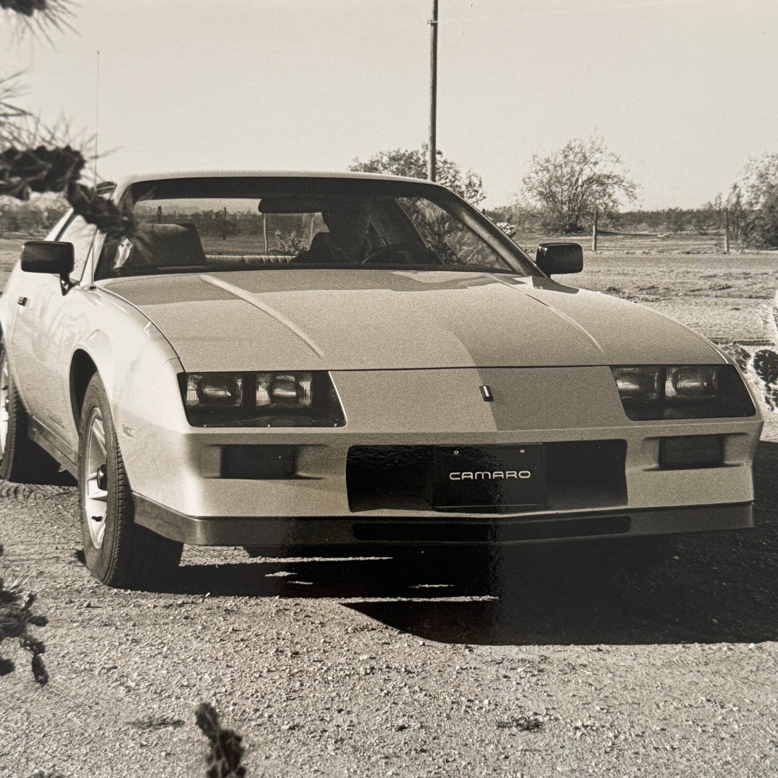 Chevrolet Camaro Factory Press Publicity Photo Photograph Print Chevy