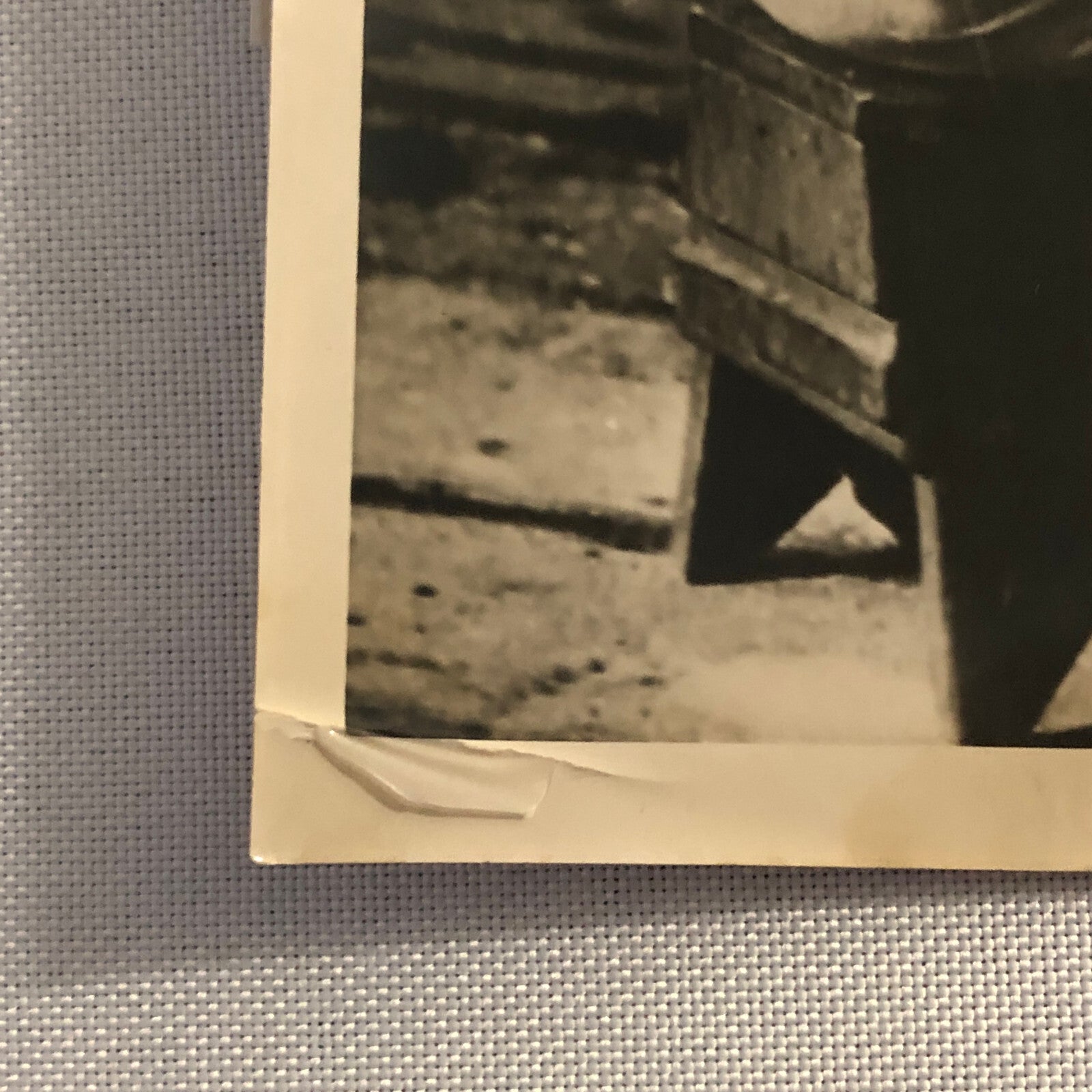 Press Photo Photograph Mayor of Oakland California Milking Cow Vintage