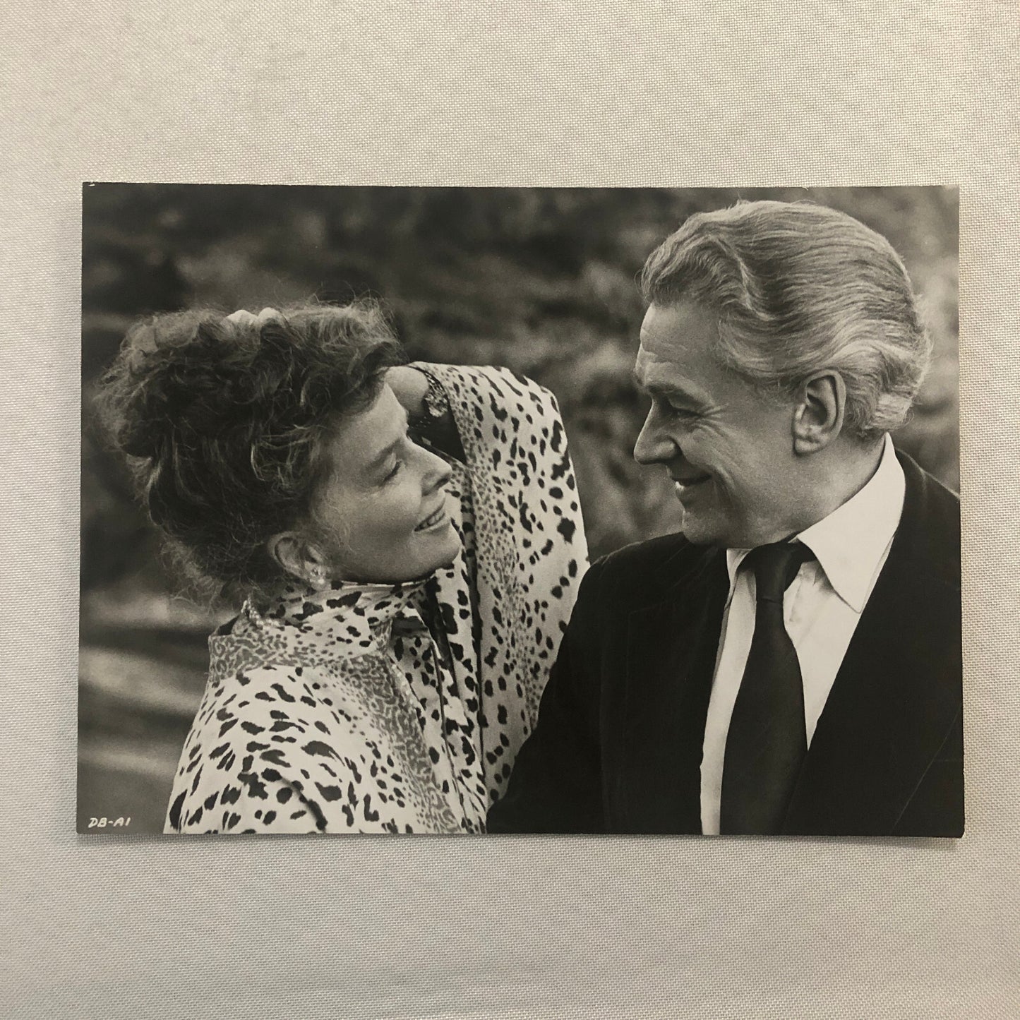 Katharine Hepburn Actress Photo Photograph Print Movie Still