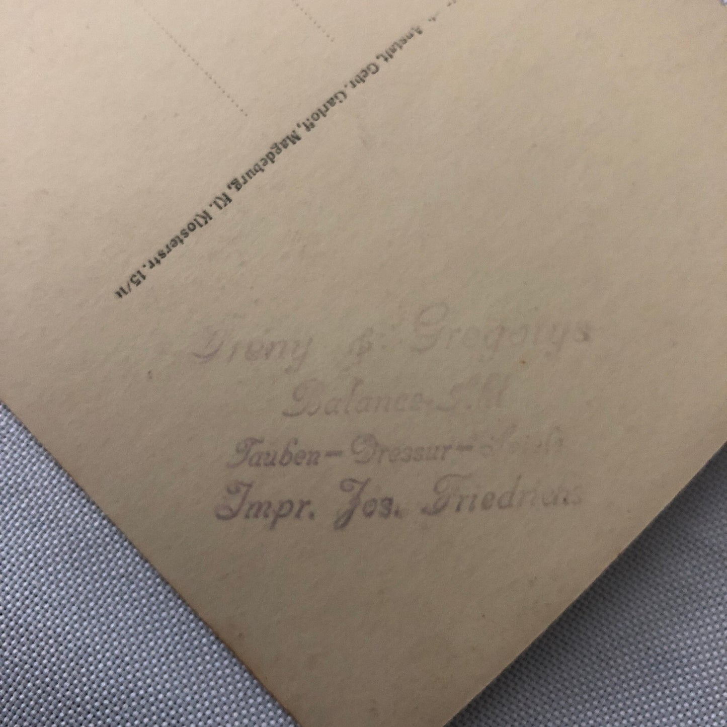 Circus Bird Training Act Postcard Post Card Gregory's Tauben Revue German