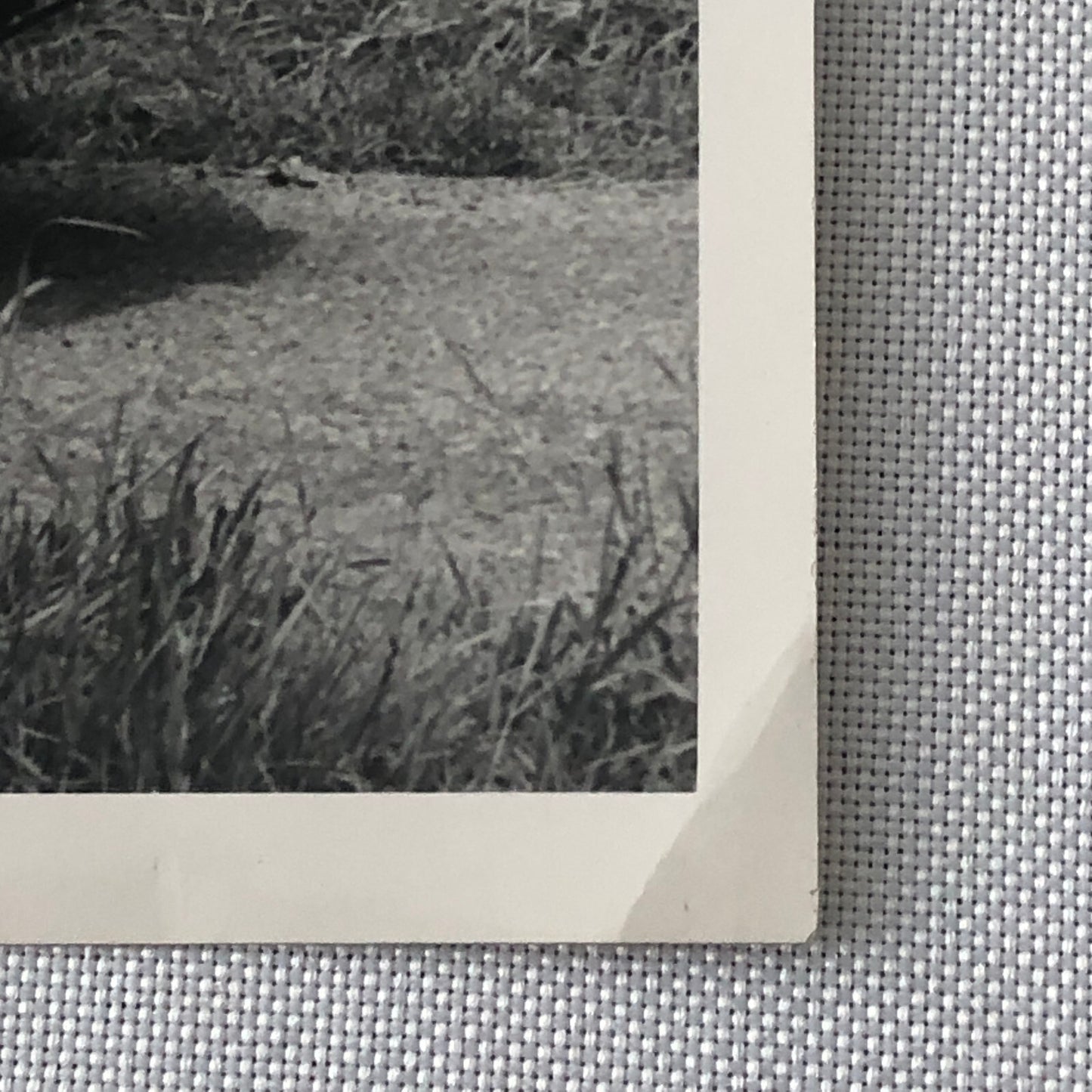 1961 Standard Vanguard Luxury Six Saloon Sedan Factory Press Photo Photograph