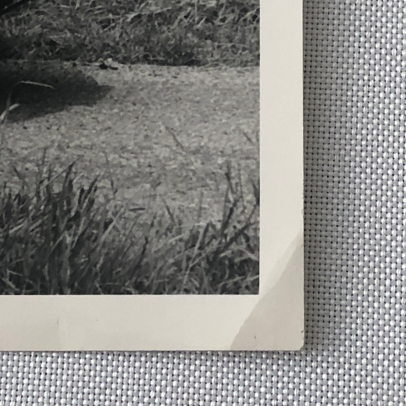 1961 Standard Vanguard Luxury Six Saloon Sedan Factory Press Photo Photograph