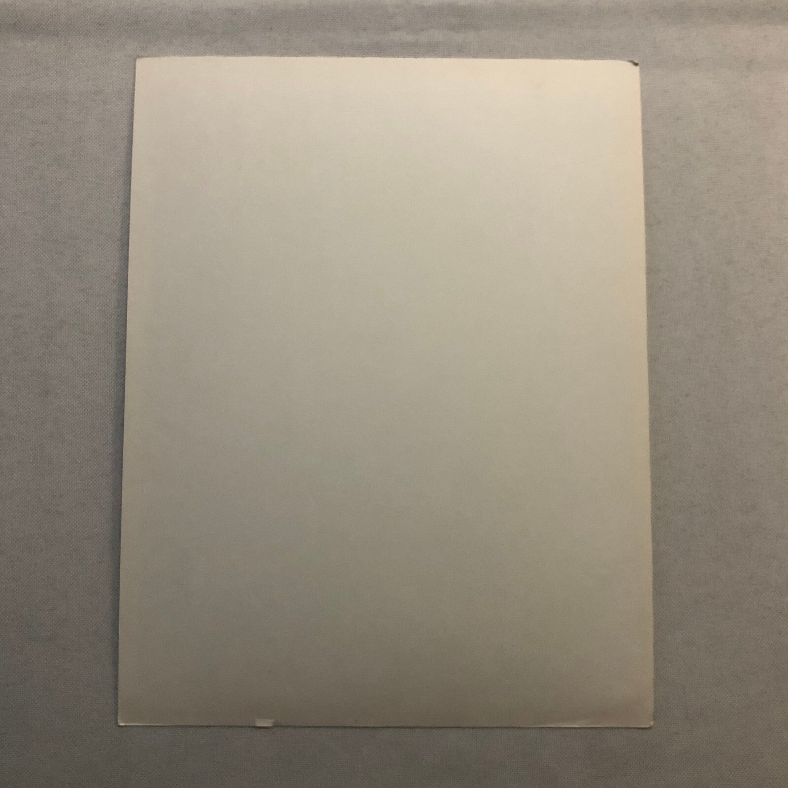 Errol Flynn Actor Portrait Photo Photograph Print Movie Still