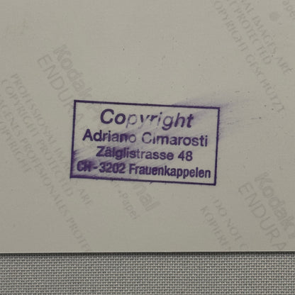 Fiat 500 Abarth Car Monza 1958 Photo Photograph Modern Print