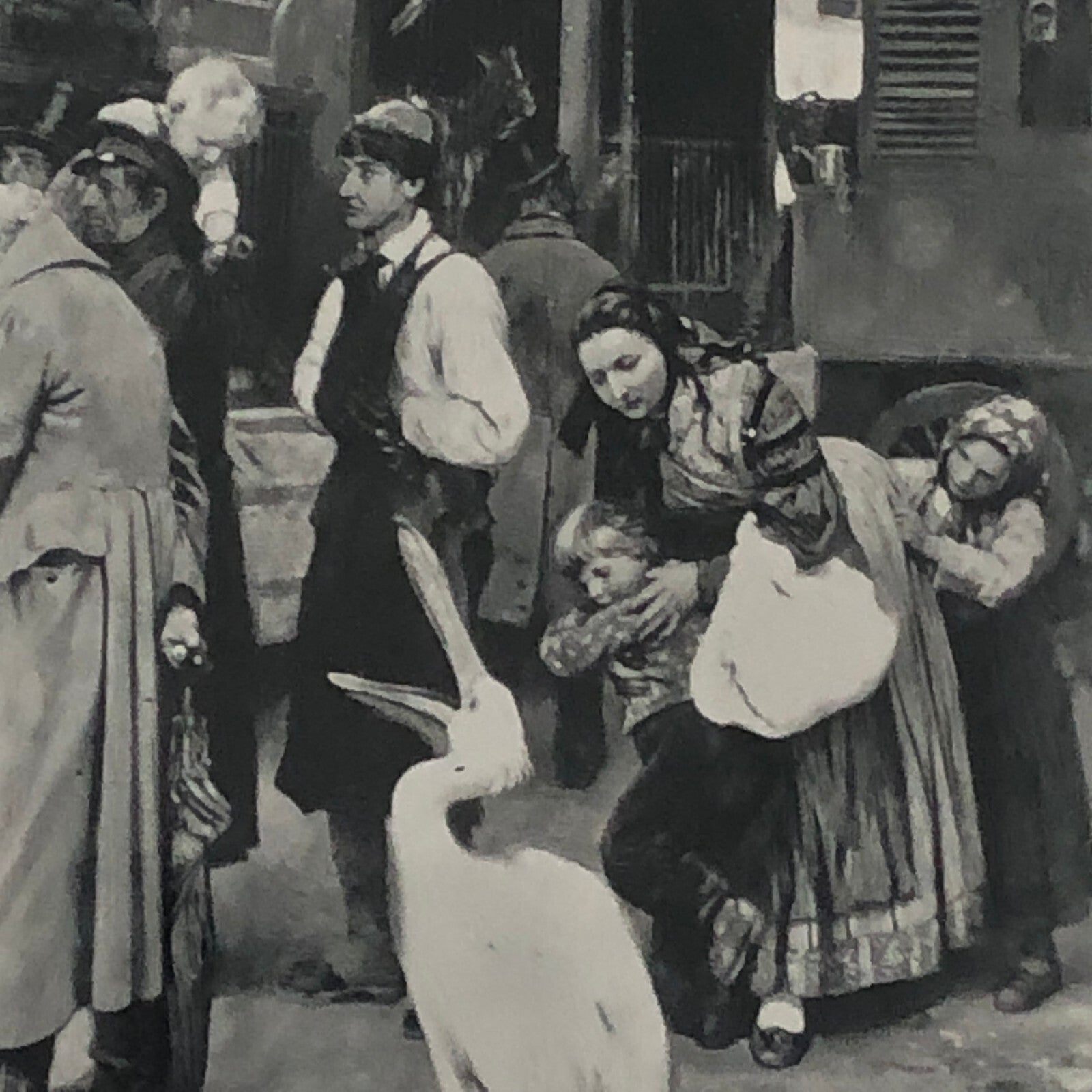 Circus Painting Vintage Photo Photograph Snake Camel Birds Animal Act