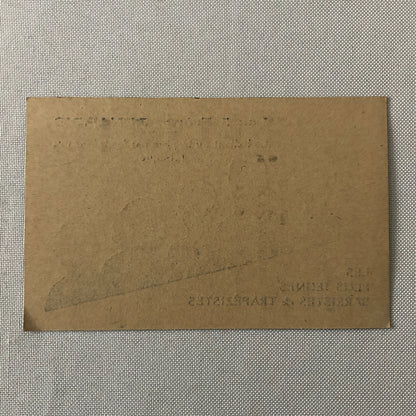 Circus Trapeze Acrobat Children Act Les 5 Freres Renards Postcard Post Card