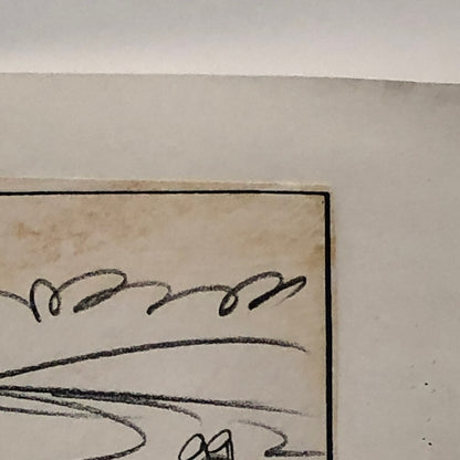 ANIMANIACS Animation Storyboard Illustration Drawing Sketch Art Story Board