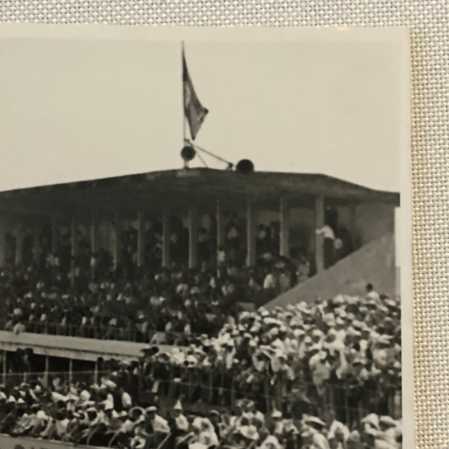 1952 Reims Racing Photo Photograph Print Stirling Moss Jaguar C Type + 