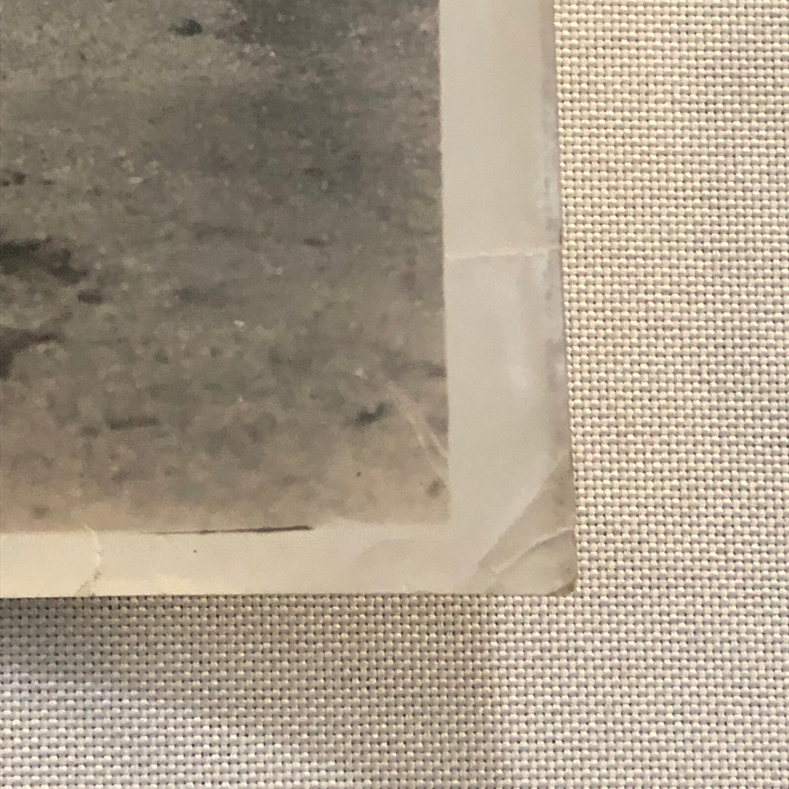 Bristol Scout Airplane Aircraft Plane Photo Photograph Vintage