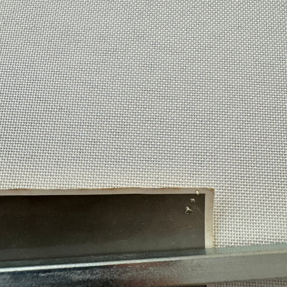 Vintage Circus Rollerskating Act Roller Skate Photo Photograph Print Les Rowlers