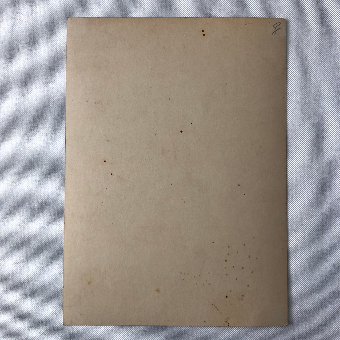 Dancer Circus Performer Cabaret Opera Photo Photograph Print Carmen