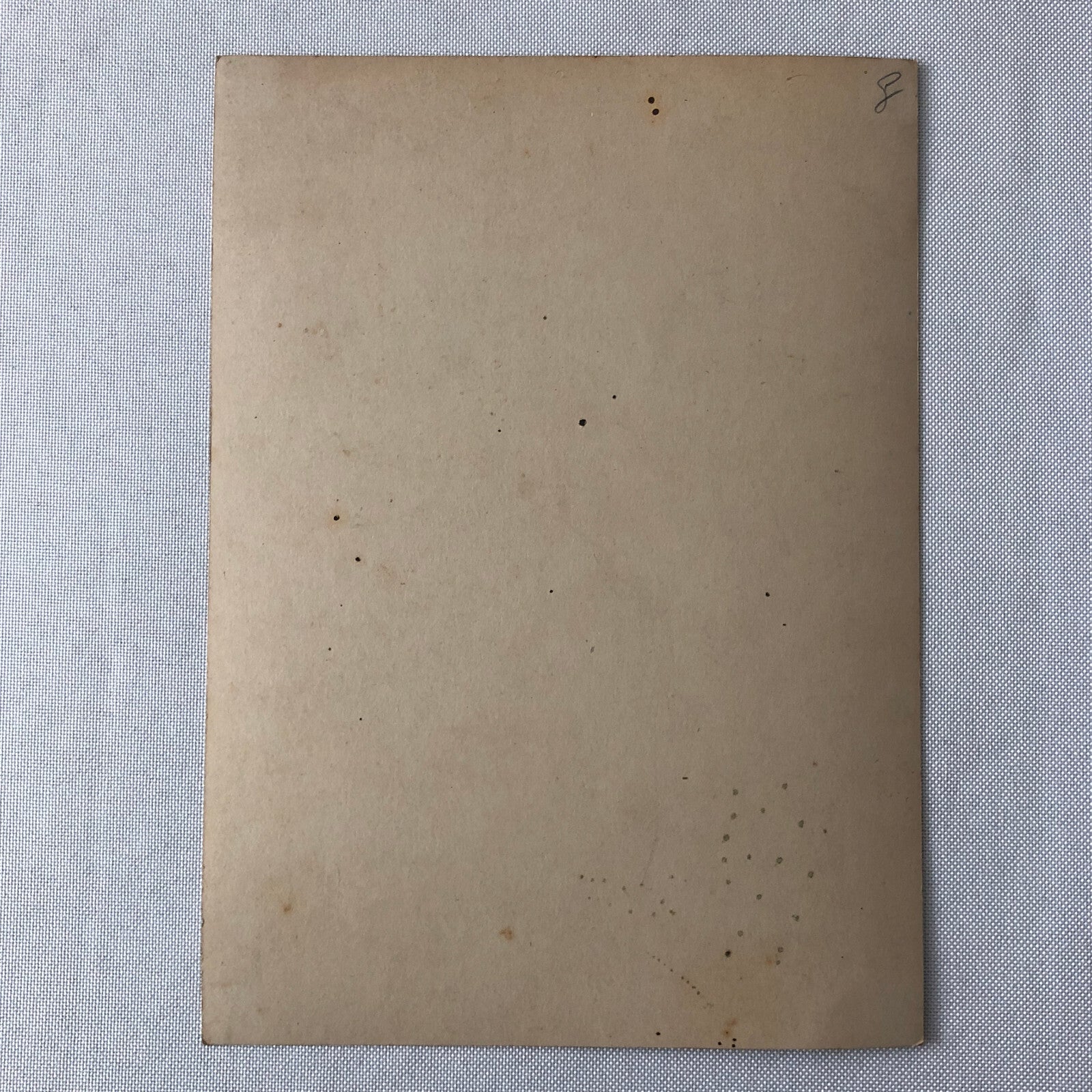 Dancer Circus Performer Cabaret Opera Photo Photograph Print Carmen