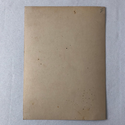 Dancer Circus Performer Cabaret Opera Photo Photograph Print Carmen