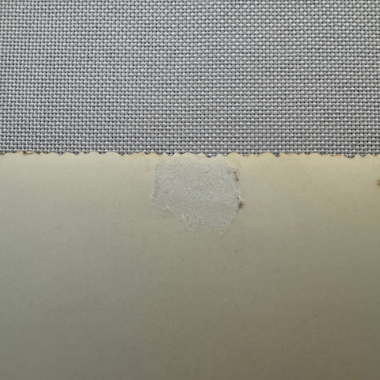 Vintage Circus Rollerskating Roller Skate Act Photo Photograph