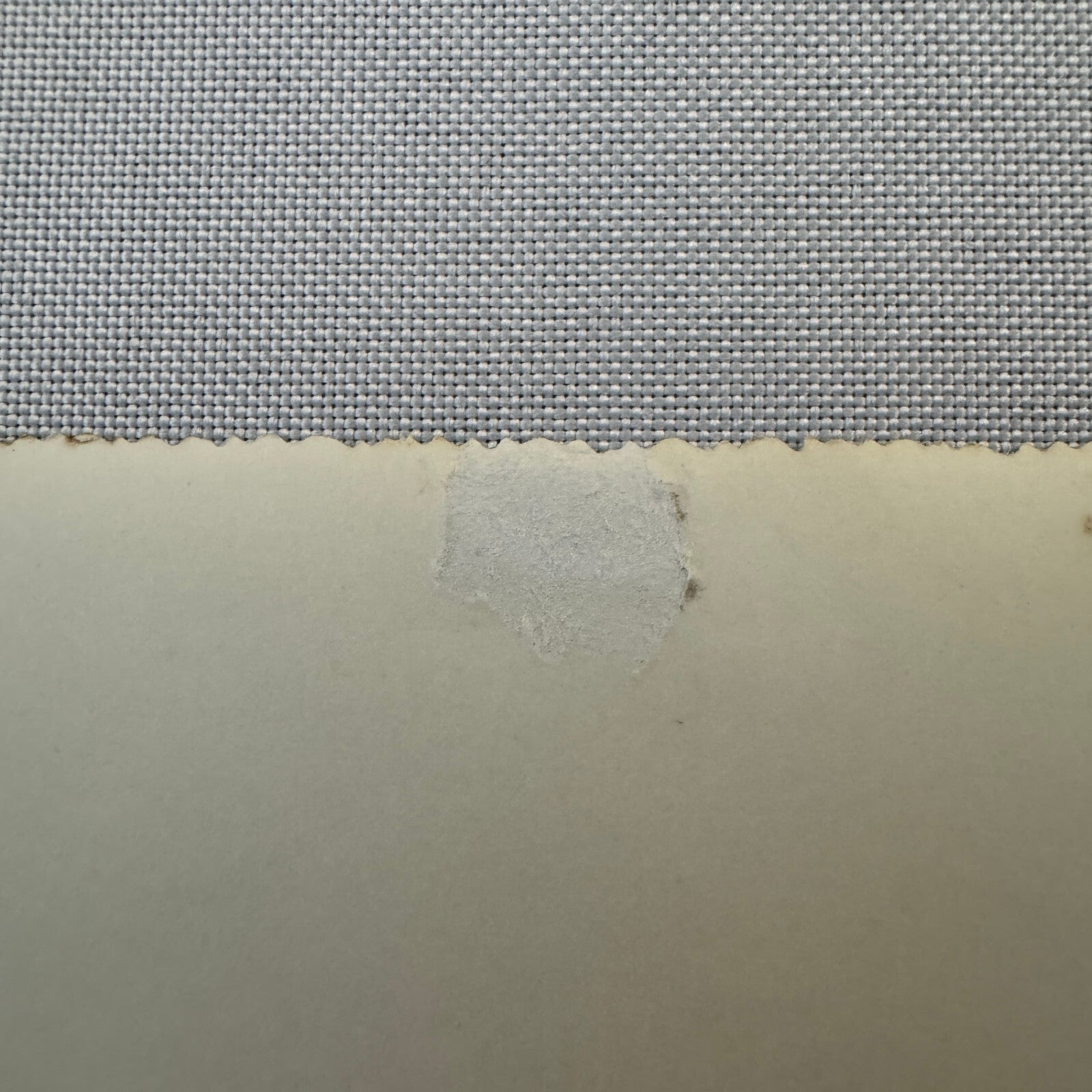 Vintage Circus Rollerskating Roller Skate Act Photo Photograph