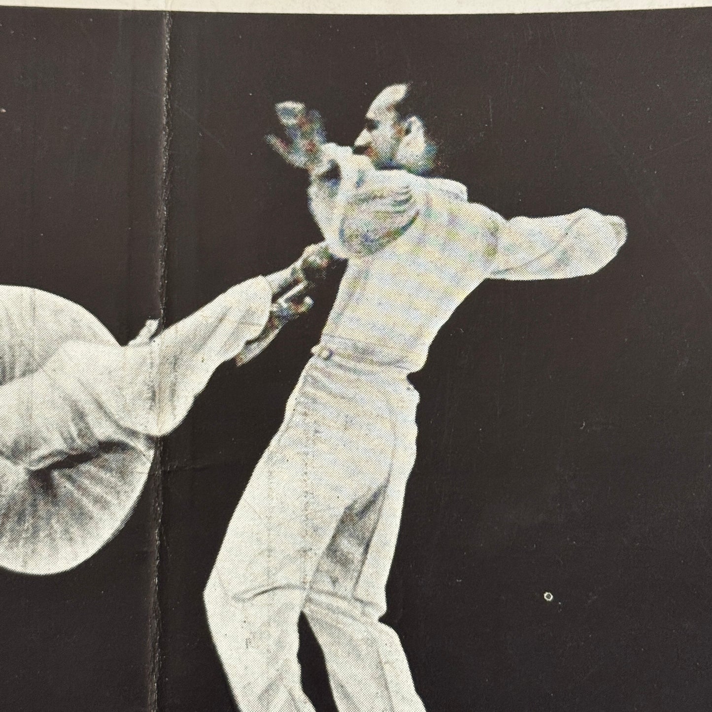 Circus Rollerskating Roller Skate Circus Act Flyer Advertising 2 Donalds