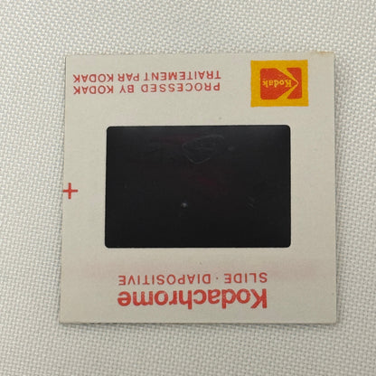 35MM Vintage Photo Slide Porsche 356 B Car Porsche 356B 1980