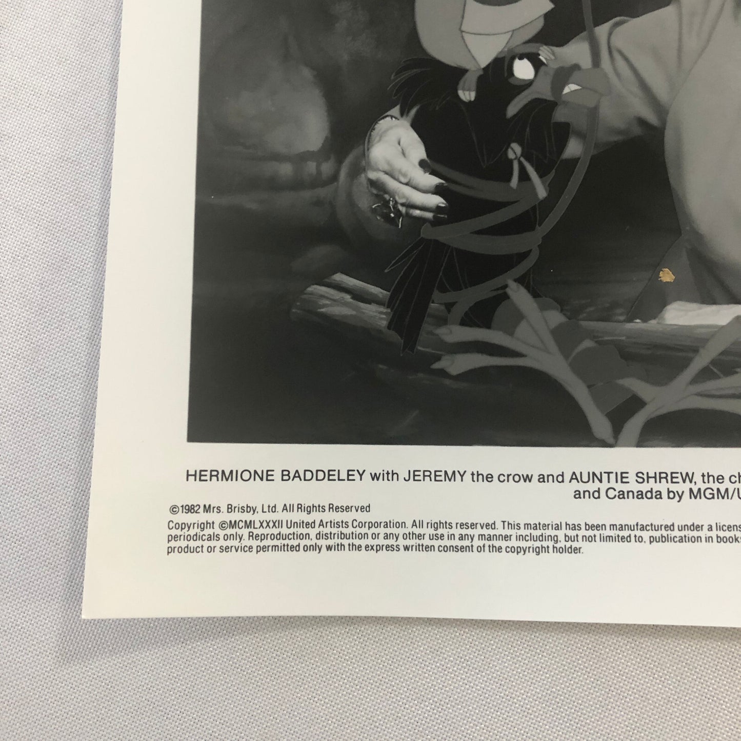 The Secret of Nimh Movie Film Press Photo Photograph Hermione Baddeley 1982