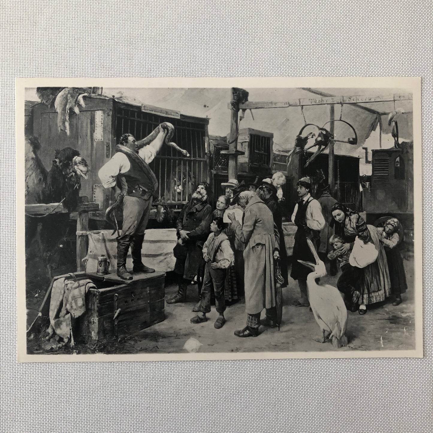 Circus Painting Vintage Photo Photograph Snake Camel Birds Animal Act