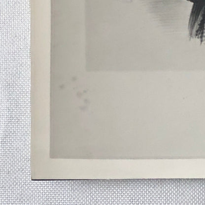 Photograph of Painting Woman in Costume Horses Circus Vintage Photo Paris