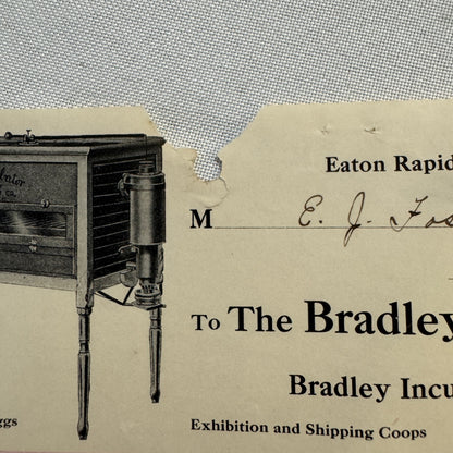 1908 Bradley Incubator Company Eaton Rapids Michigan Invoice Document Antique