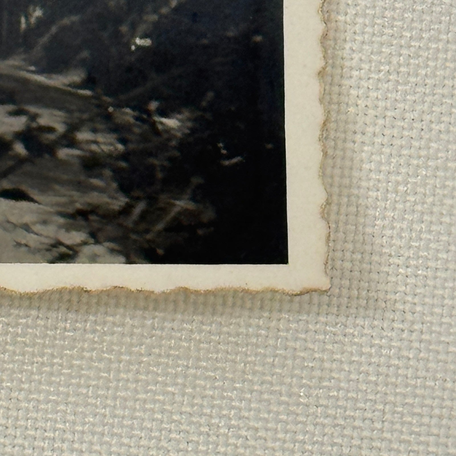 Vintage Racing Car Photo Automobile Motorsport Photograph Print