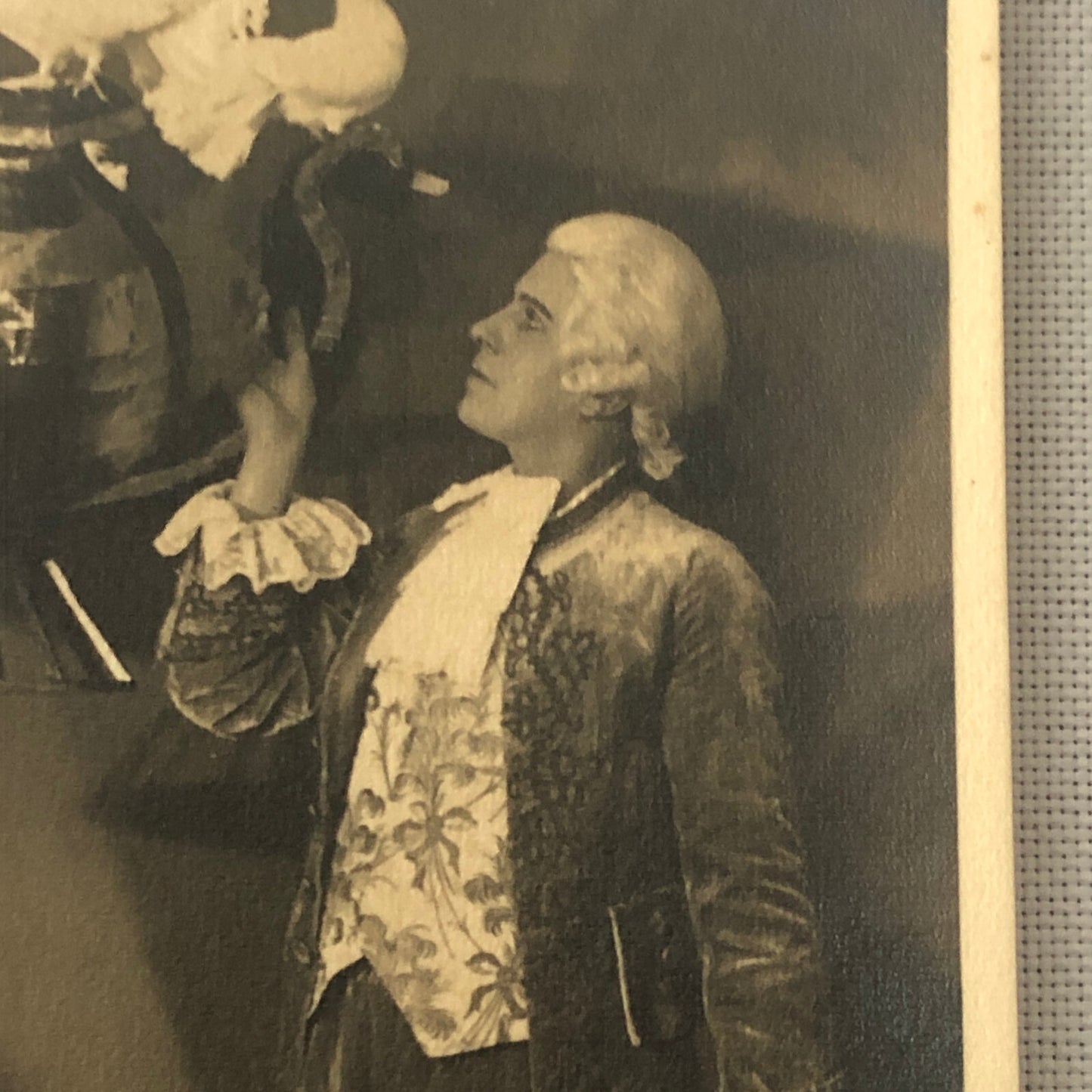 Circus Act with Birds Postcard Post Card Vintage Berlin Germany Fredy Lorano