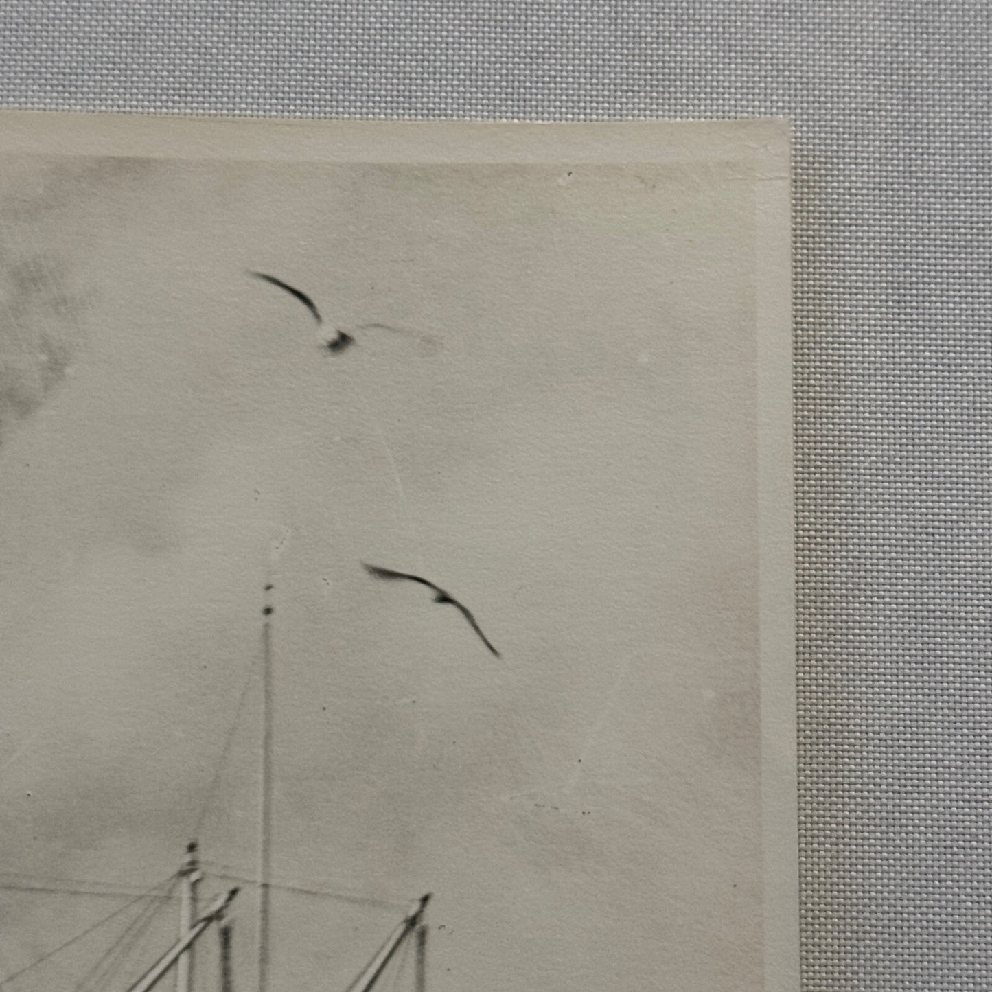 Vintage Photo Photograph JM White Steamboat Steam Boat Ship