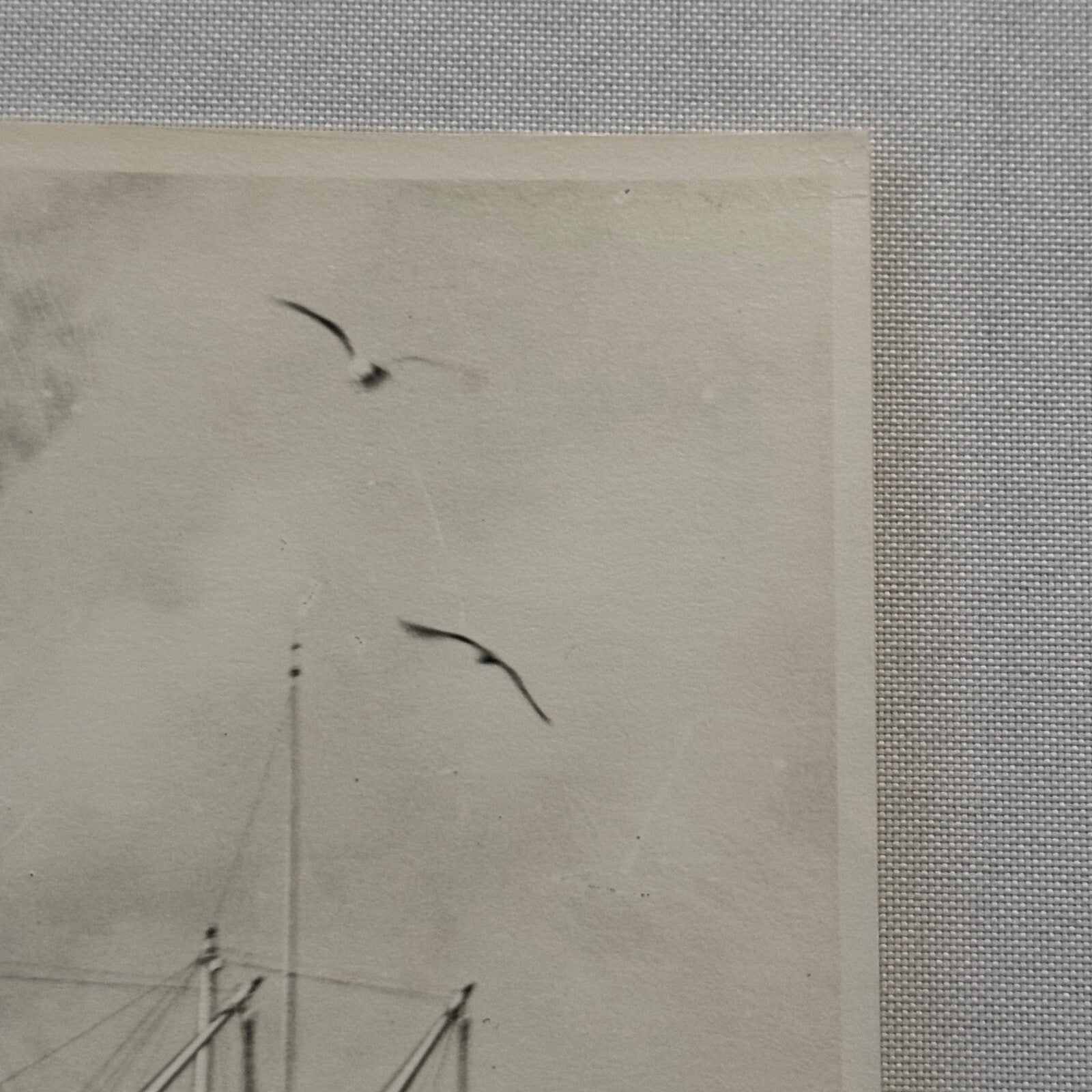 Vintage Photo Photograph JM White Steamboat Steam Boat Ship