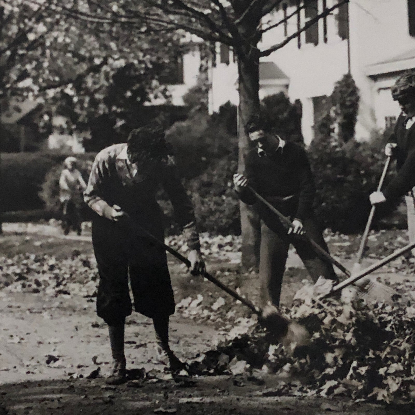 Press Photo Photograph People Raking Leaves Keystone Underwood