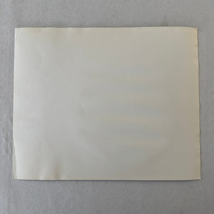 Vintage Racing Car Photo Photograph Print