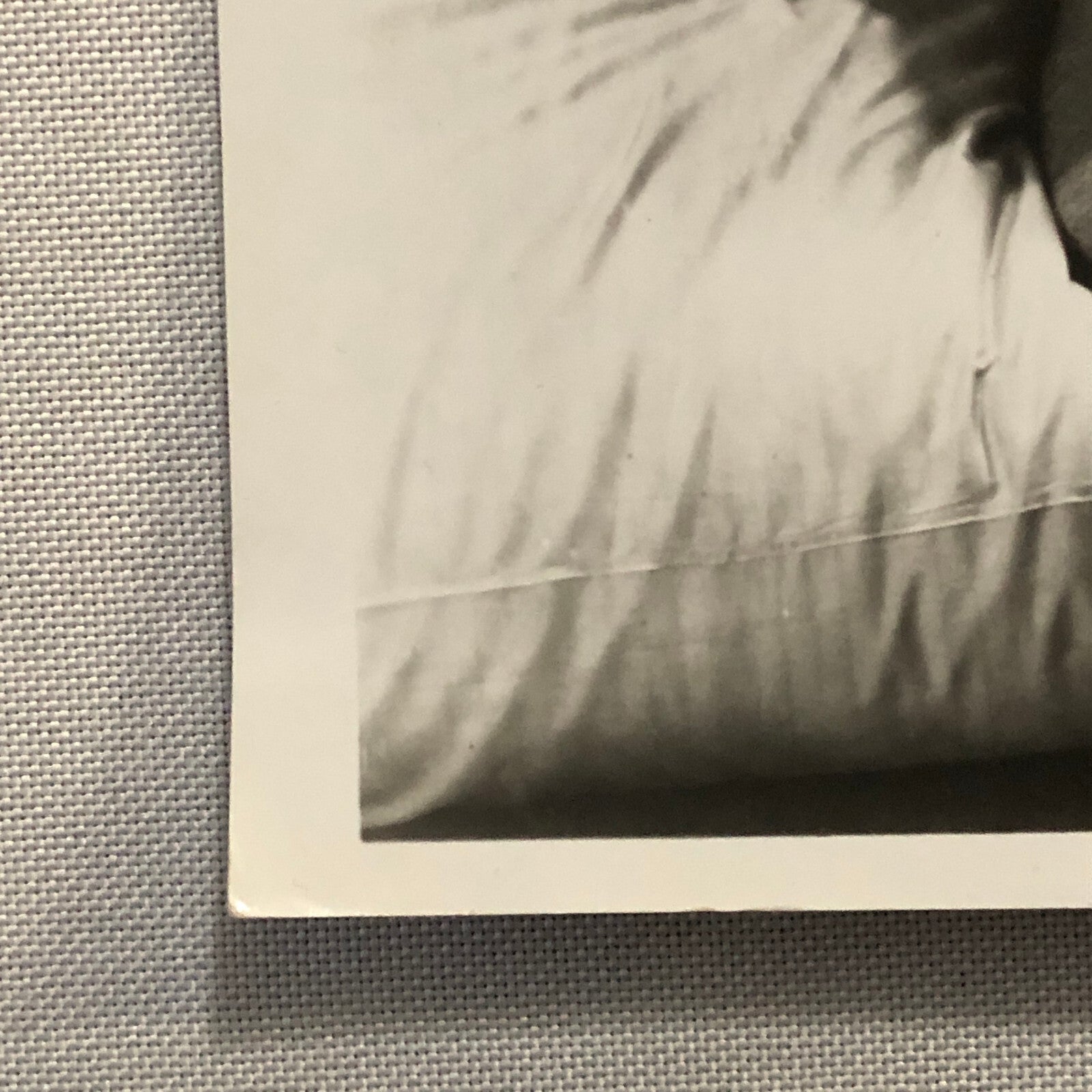 Movie Film Still Photo Photograph Print Born to Love Constance Bennett