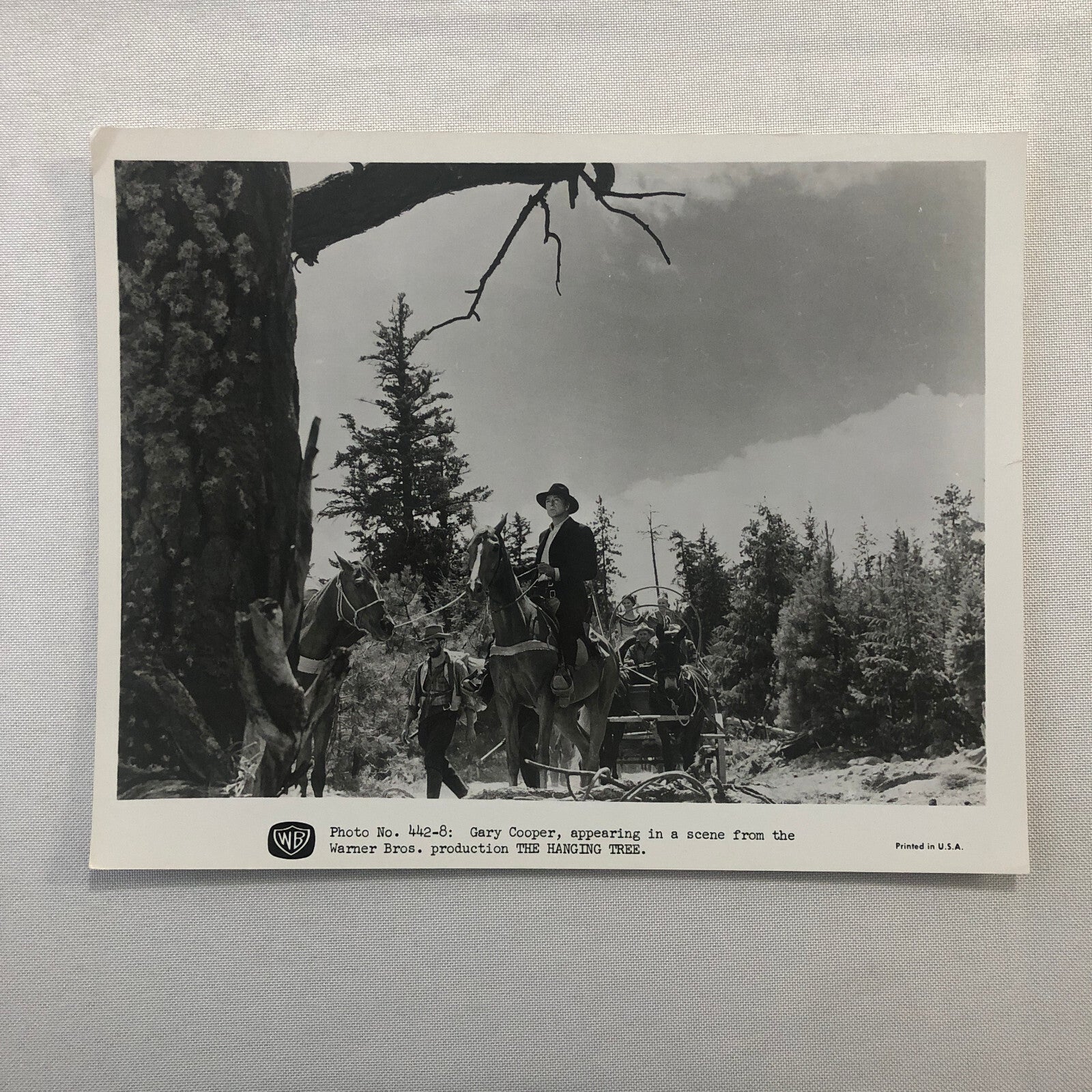 Actor Gary Cooper The Hanging Tree Movie Press Photo Photograph Warner Brothers