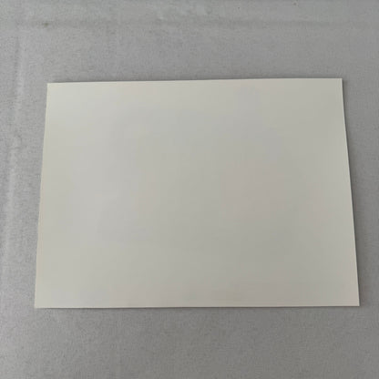 Porsche Quaker State Indy Racing Car Engine Factory Press Photo Photograph Print