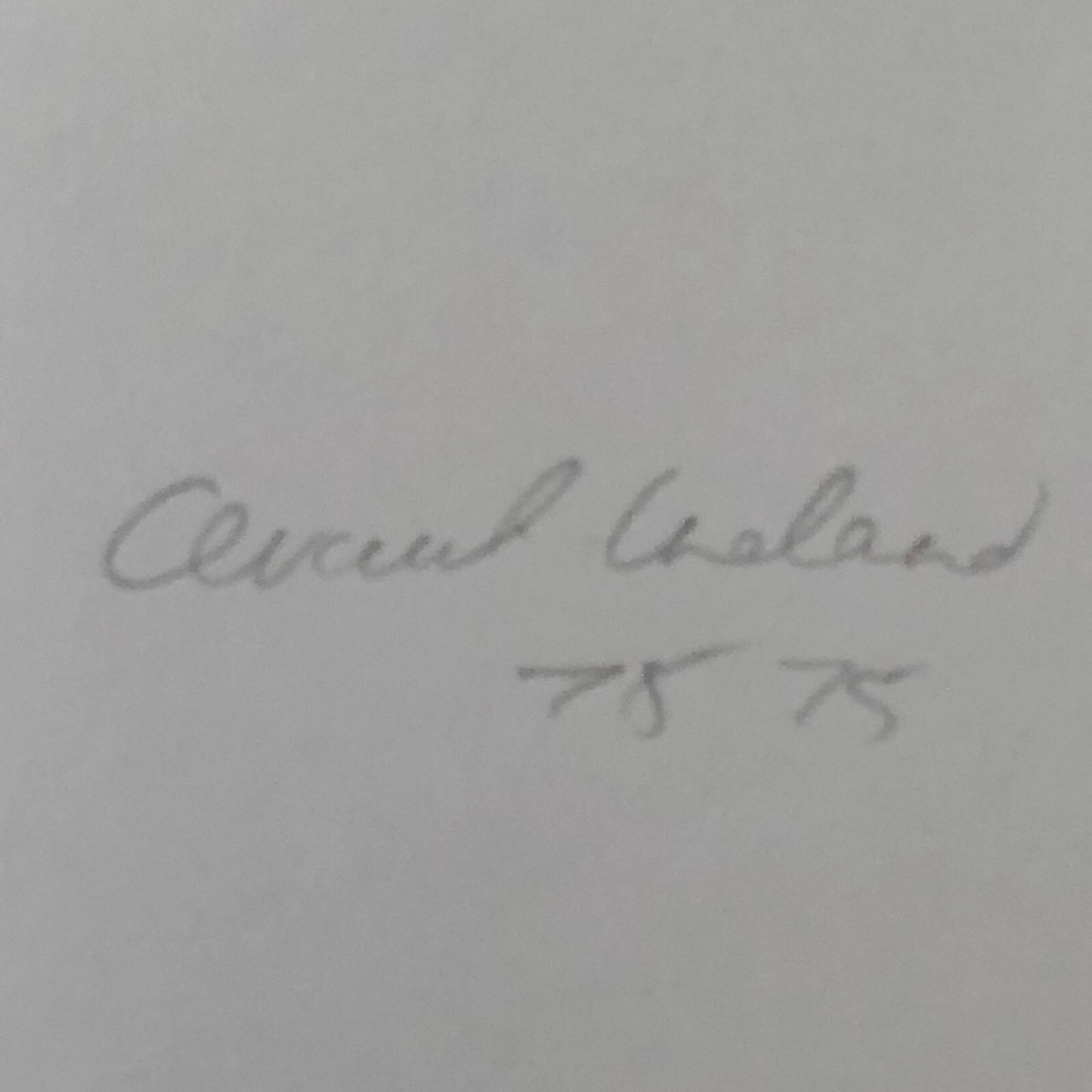 Vintage Renault Alpine Rally Racing Car Photo Photograph Print 