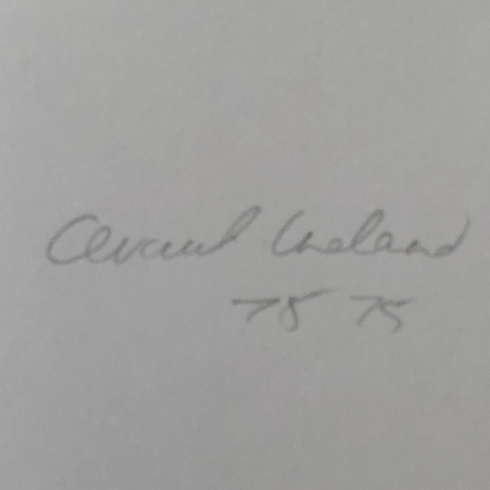 Vintage Renault Alpine Rally Racing Car Photo Photograph Print 