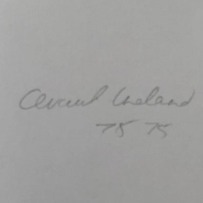 Vintage Renault Alpine Rally Racing Car Photo Photograph Print 