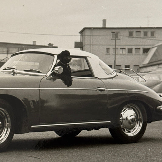 Porsche 356 Car with Dog Photo Photograph Vintage
