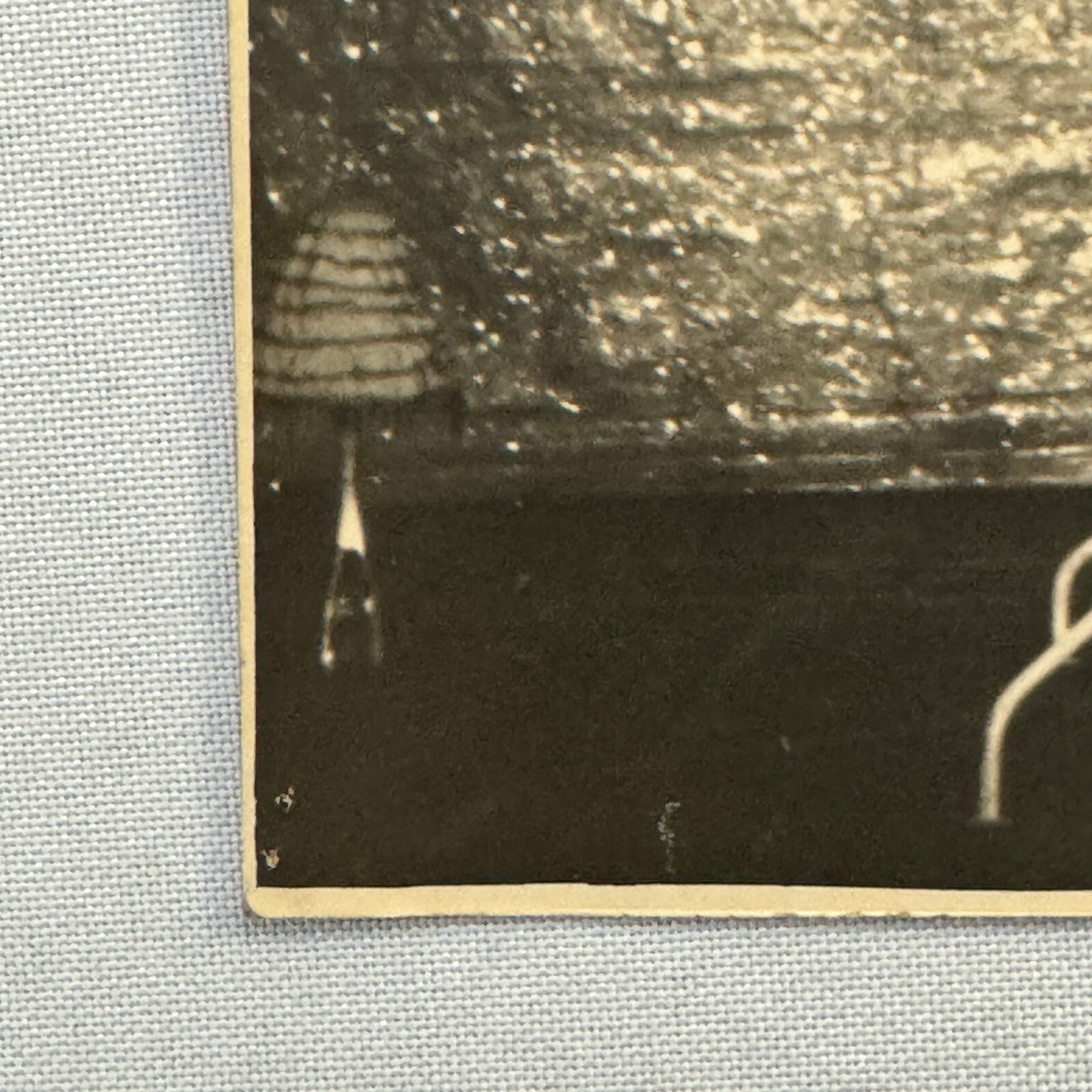 Heinrich Schuhmann Vintage Circus Balancing Act Photo Photograph