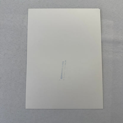 Vintage Rally Racing Photo Photograph Print DPPI Fiat 127 Car