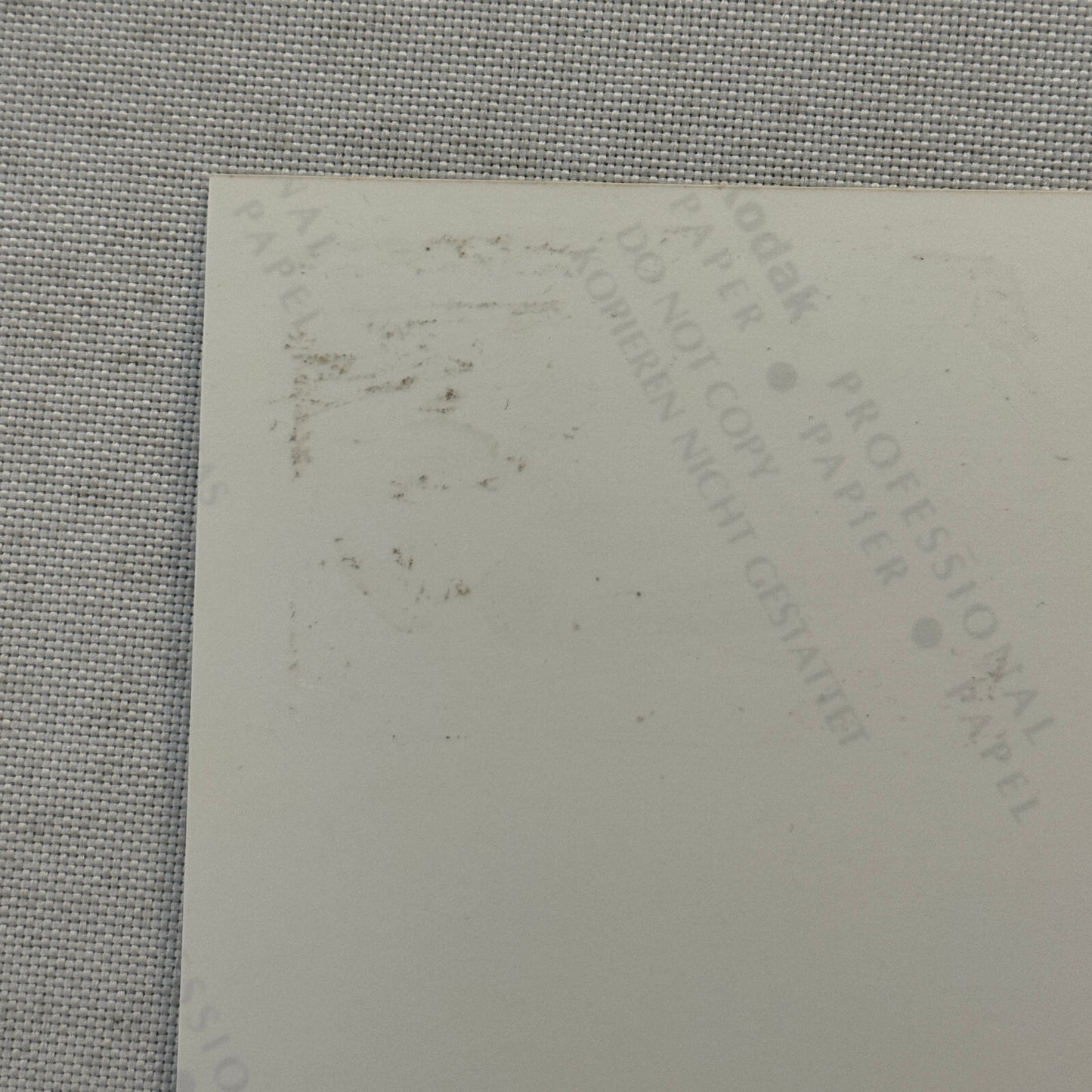 1998 Porsche 911 Carrera Car Factory Press Photo Photograph