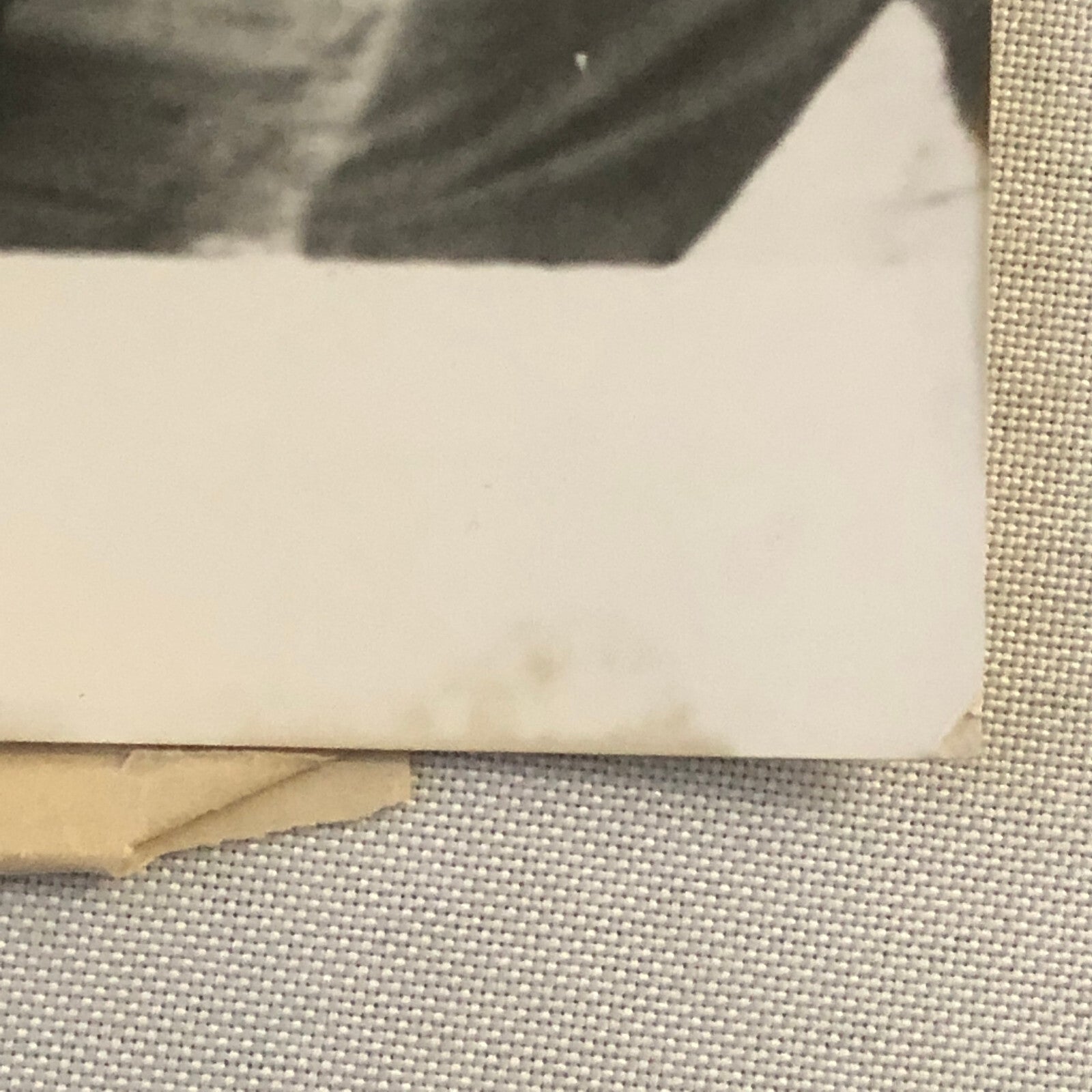 Vintage 1963 Saab Erik Carlsson Rallye Monte Carlo Rally Press Photo Photograph 